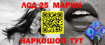 дживик Можга