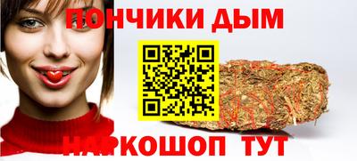 дживик Можга