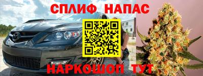 дживик Можга