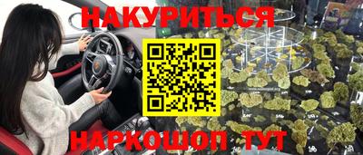 гидра Моздок