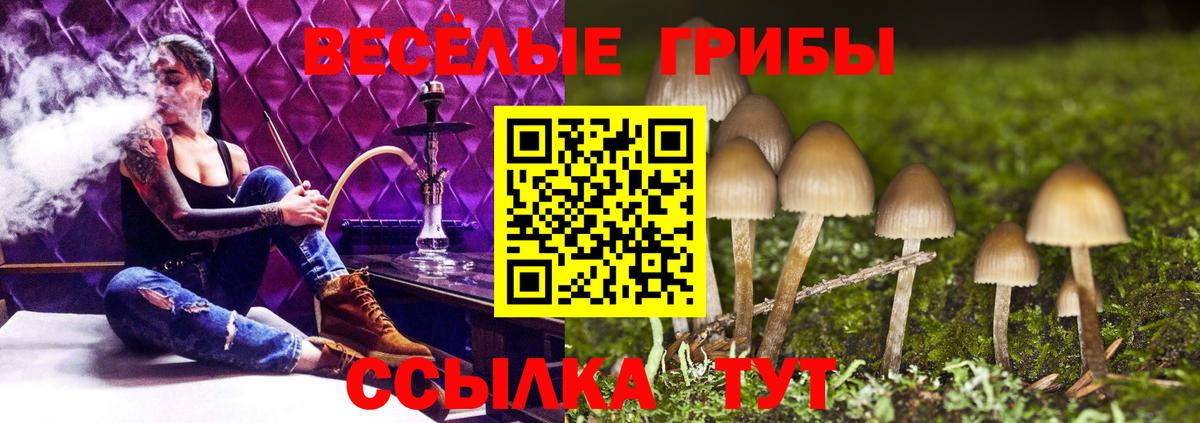 Псилоцибиновые грибы ЛСД Хабаровск